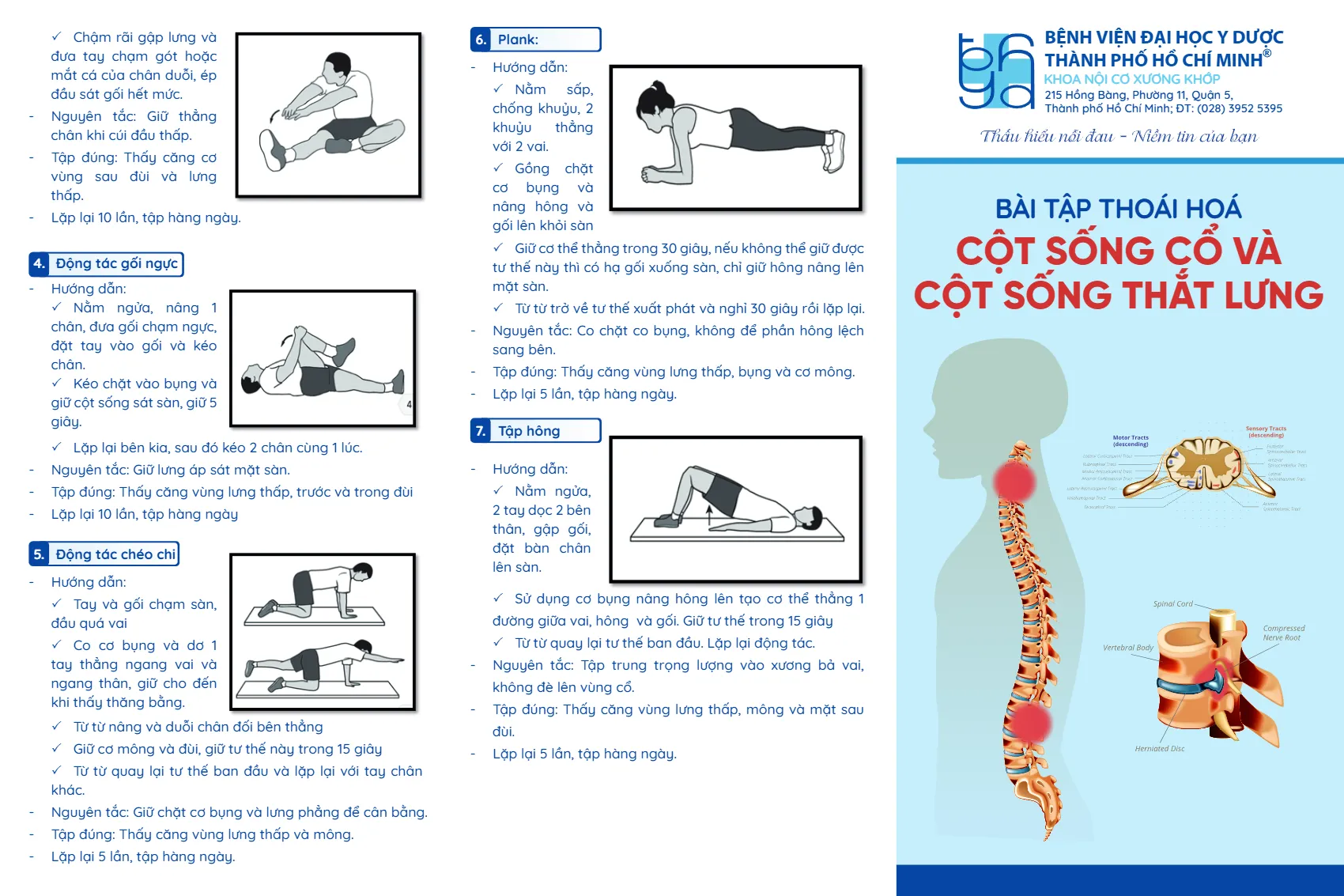 to roi bai tap thoai hoa cot song co va cot song that lung_1.webp
